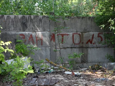 В Рыбинске выявляют несанкционированные свалки