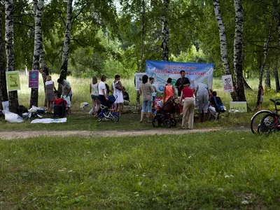 В Ярославской области прошла серия экологических акций