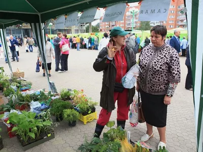 В центре Ярославля открылась ярмарка «Покупай ярославское»