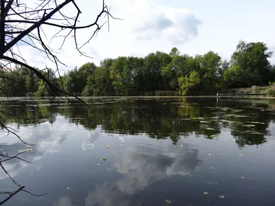 Петропавловский парк